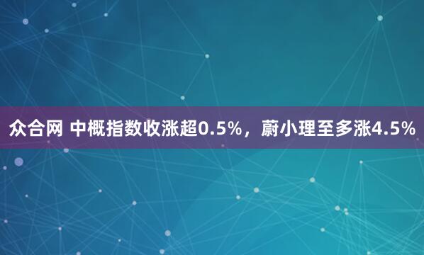众合网 中概指数收涨超0.5%，蔚小理至多涨4.5%