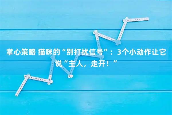 掌心策略 猫咪的“别打扰信号”：3个小动作让它说“主人，走开！”